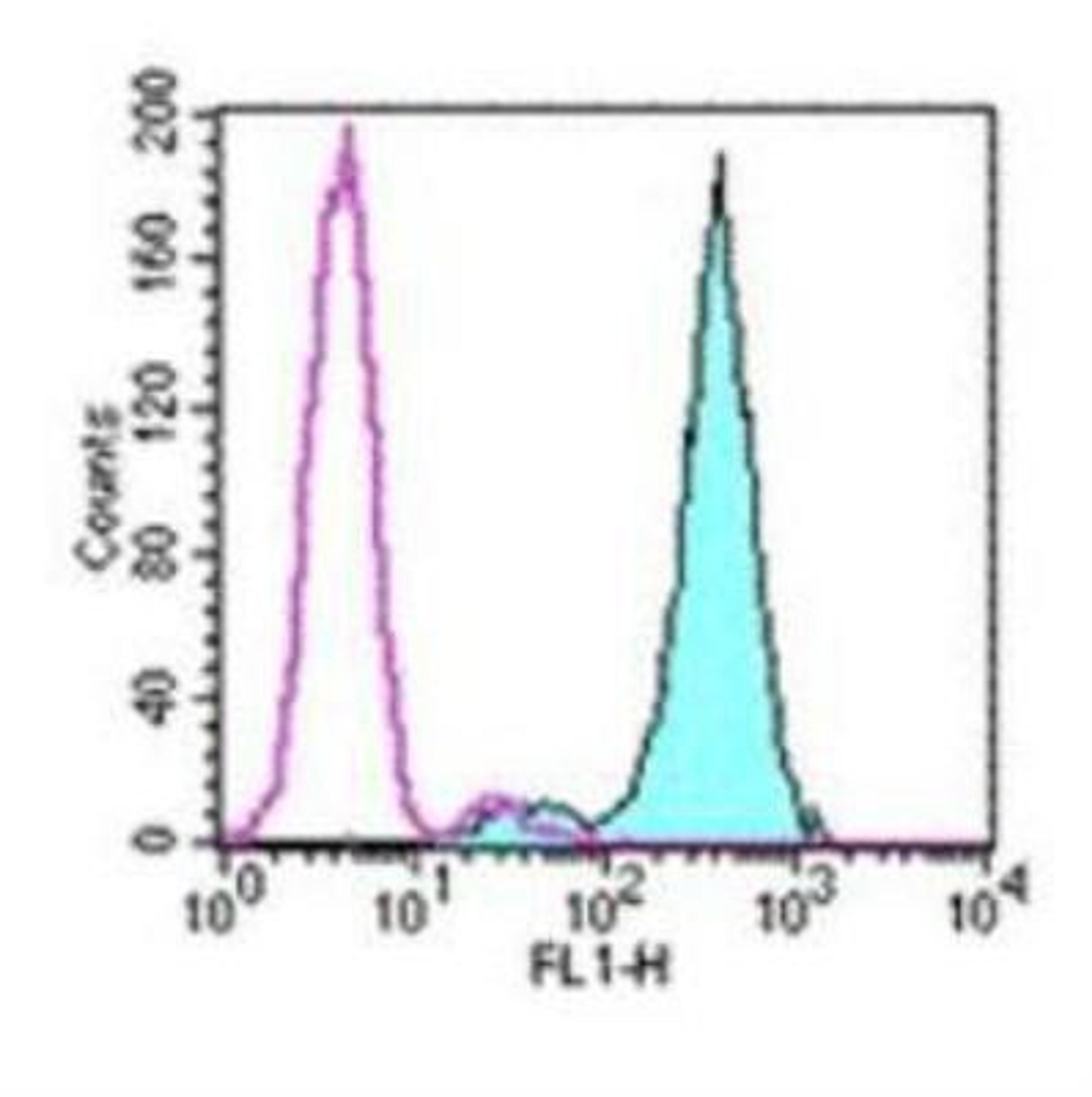 Flow Cytometry: Fc epsilon RI Antibody (MAR-1) [NBP1-43279] - Analysis using the FITC conjugate of NBP1-43279. Staining of the MC/9 cell line with 0.06 ug of Armenian Hamster IgG Isotype Control FITC (open histogram) or 0.06 ug of Anti-Mouse Fc epsilon Receptor I alpha (Fc epsilon R1) FITC (filled histogram). Total