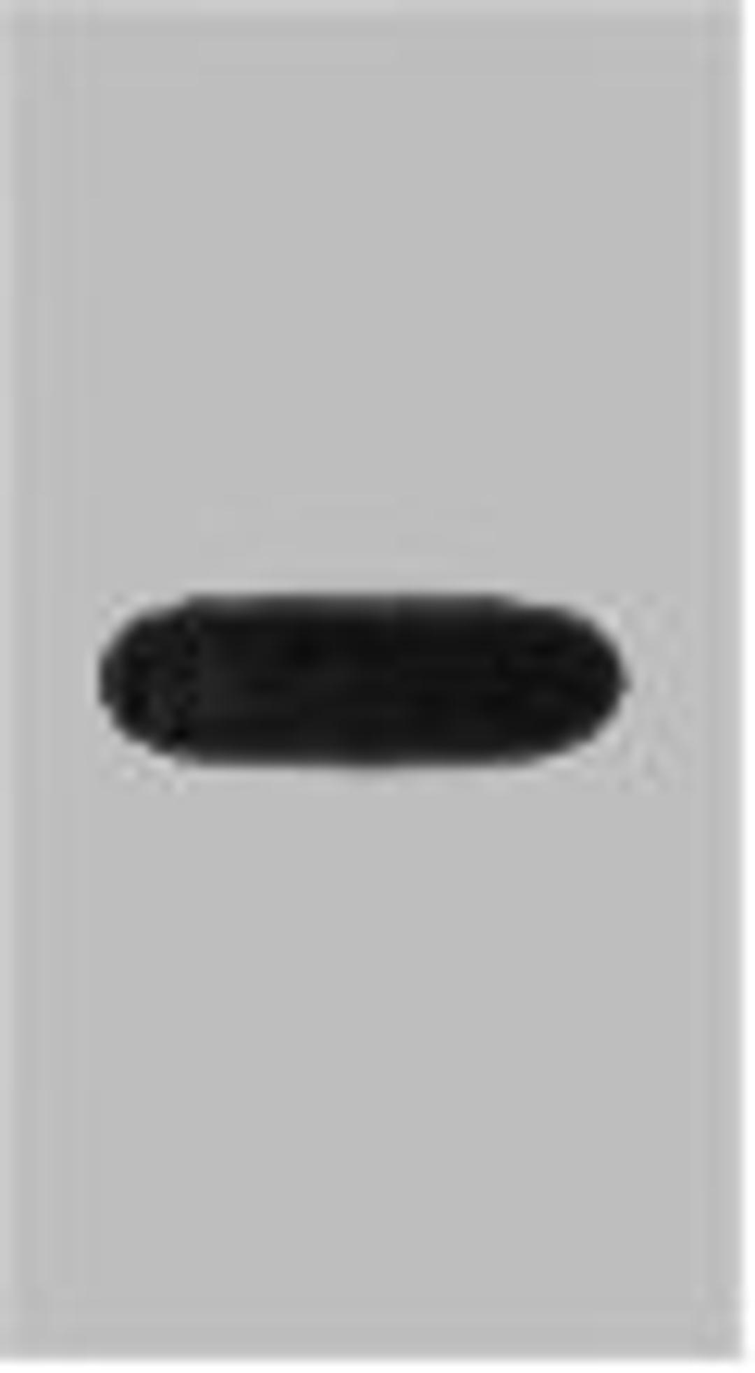 Western blot analysis of recombinant EYFP protein, diluted at 1:10000.