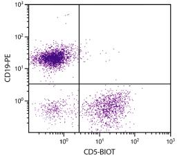 BALB/c mouse splenocytes were stained with Rat Anti-Mouse CD5-BIOT (Cat. No. 98-610) and Rat Anti-Mouse CD19-PE followed by Streptavidin-FITC .