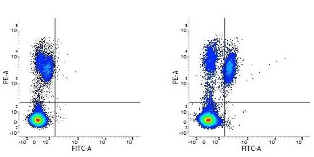 Figure A. RPE conjugated mouse anti human HLA DP/DQ/DR