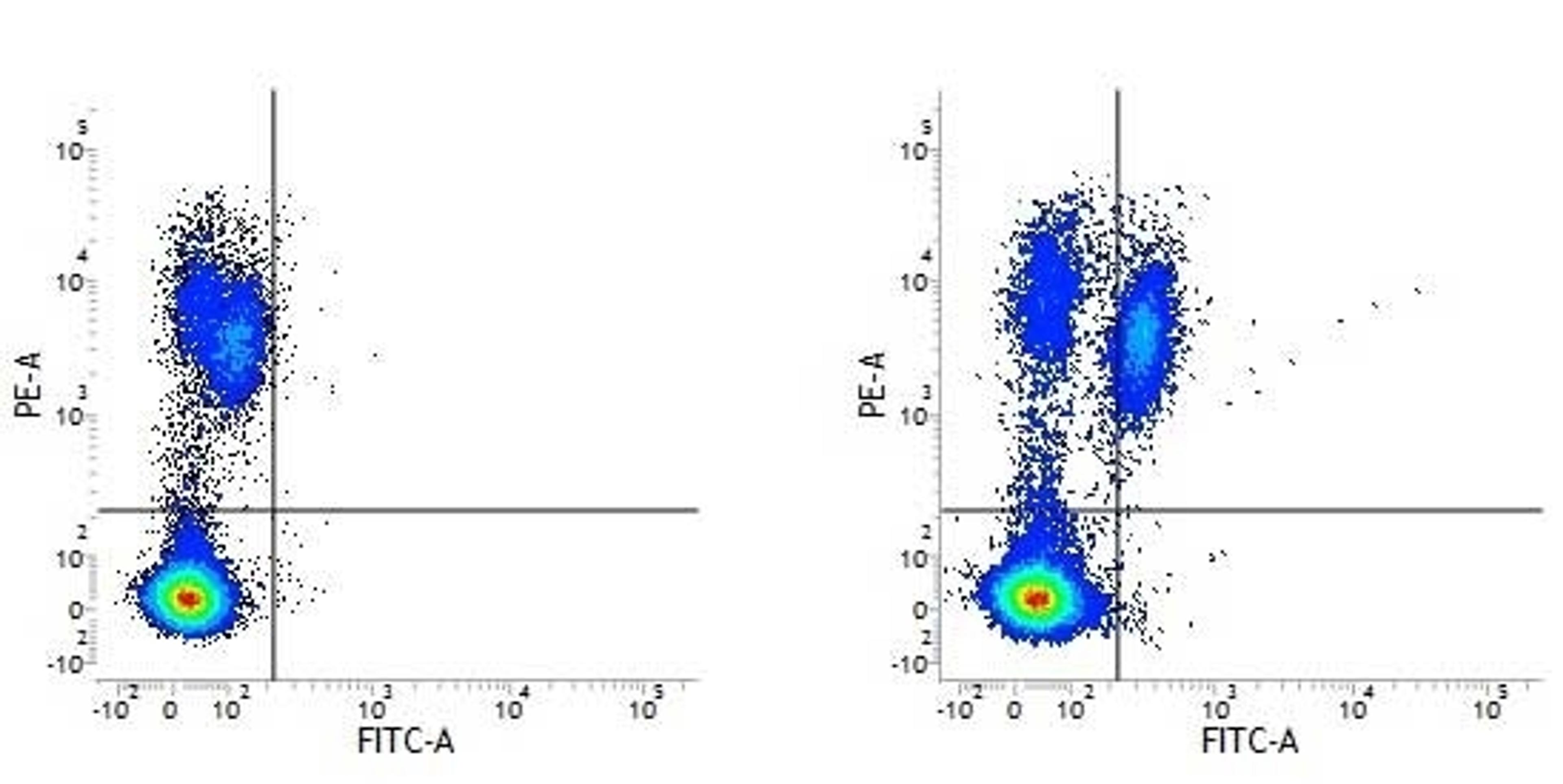 Figure A. RPE conjugated mouse anti human HLA DP/DQ/DR