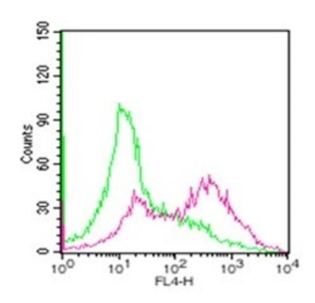 Flow Cytometry: TRANCE/TNFSF11/RANK L Antibody (12A380) [NB100-56748] - Analysis using the Alexa Fluor (R) 647 conjugate of NB100-56748. Staining of RANKL in untreated mouse splenocytes (green) and 72 hour ConA-stimulated mouse splenocytes (red) using this antibody. 1 ug of RANKL antibody was used for this assay.