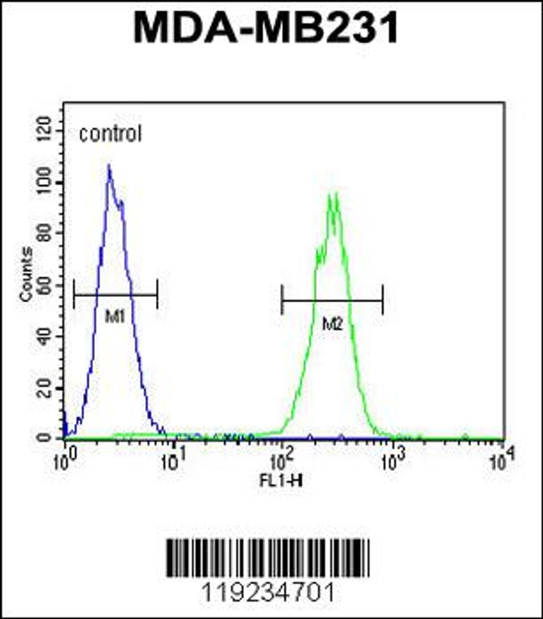 Flow cytometric analysis of MDA-MB231 cells (right histogram) compared to a negative control cell (left histogram).FITC-conjugated goat-anti-rabbit secondary antibodies were used for the analysis.