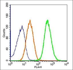 Flow cytometric analysis of Raji cell using EN1 antibody.