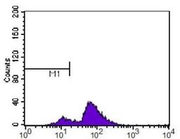 Flow Cytometry: c-Myc Antibody (9E11) [NB200-108] - c-Myc antibody was tested at 1:400 in HL-60 cells using an Alexa Fluor 488 secondary (shown in purple). M1 is defined by unstained cells.