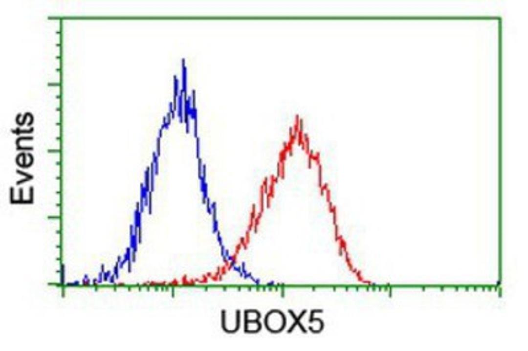 Flow Cytometry: UBOX5 Antibody (1C5) [NBP2-01077] - Analysis of Hela cells, using anti-UBOX5 antibody, (Red), compared to a nonspecific negative control antibody (Blue).