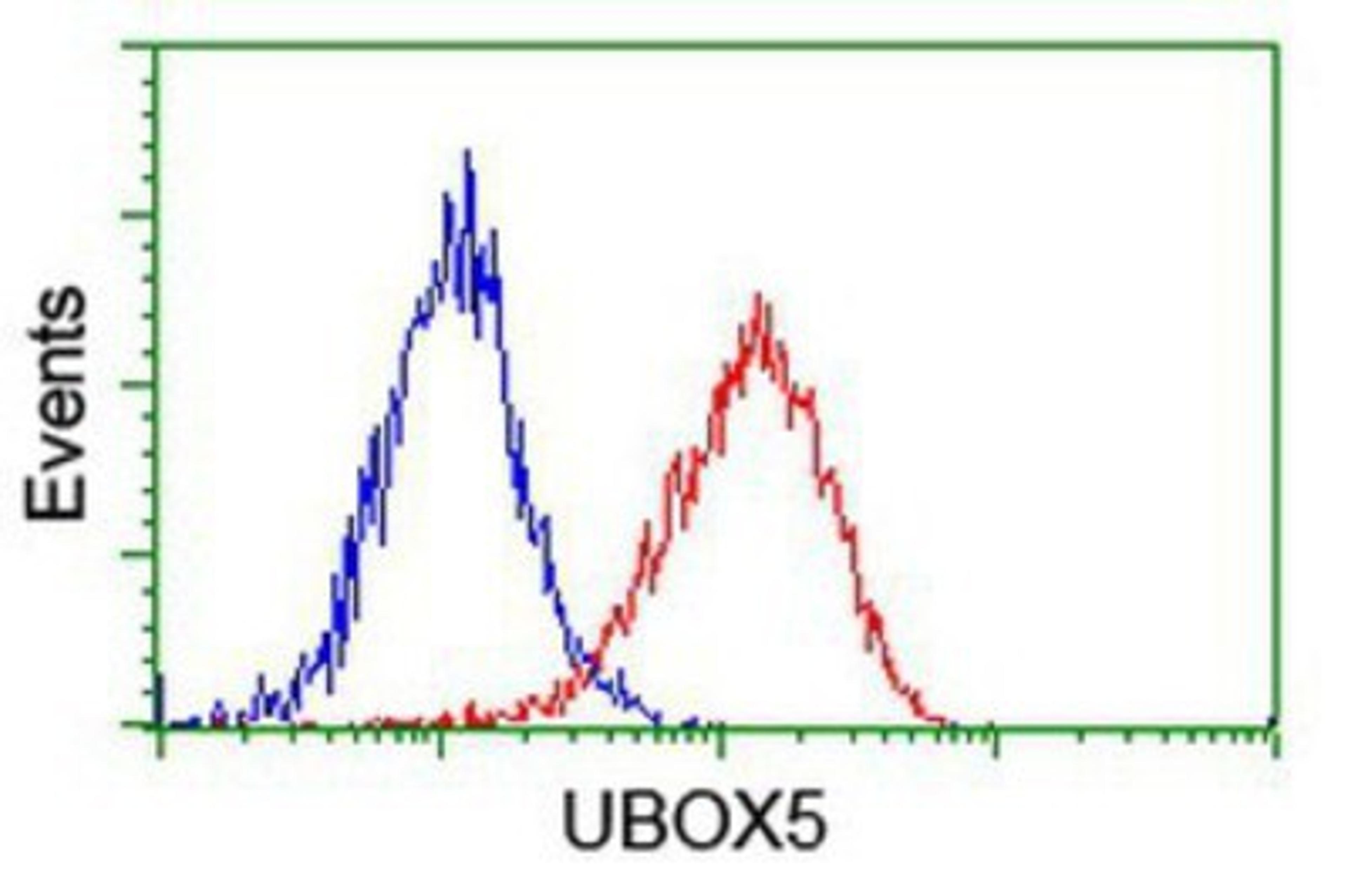 Flow Cytometry: UBOX5 Antibody (1C5) [NBP2-01077] - Analysis of Hela cells, using anti-UBOX5 antibody, (Red), compared to a nonspecific negative control antibody (Blue).