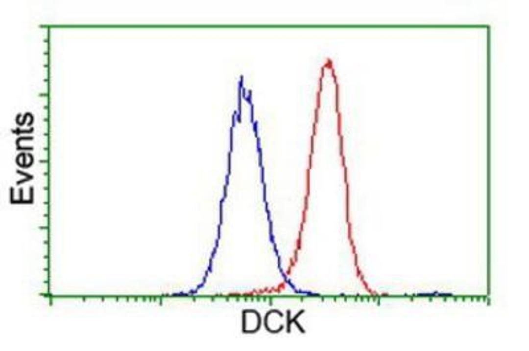 Flow Cytometry: DCK Antibody (3F5) [NBP2-00590] - Analysis of Hela cells, using anti-DCK antibody, (Red), compared to a nonspecific negative control antibody (Blue).