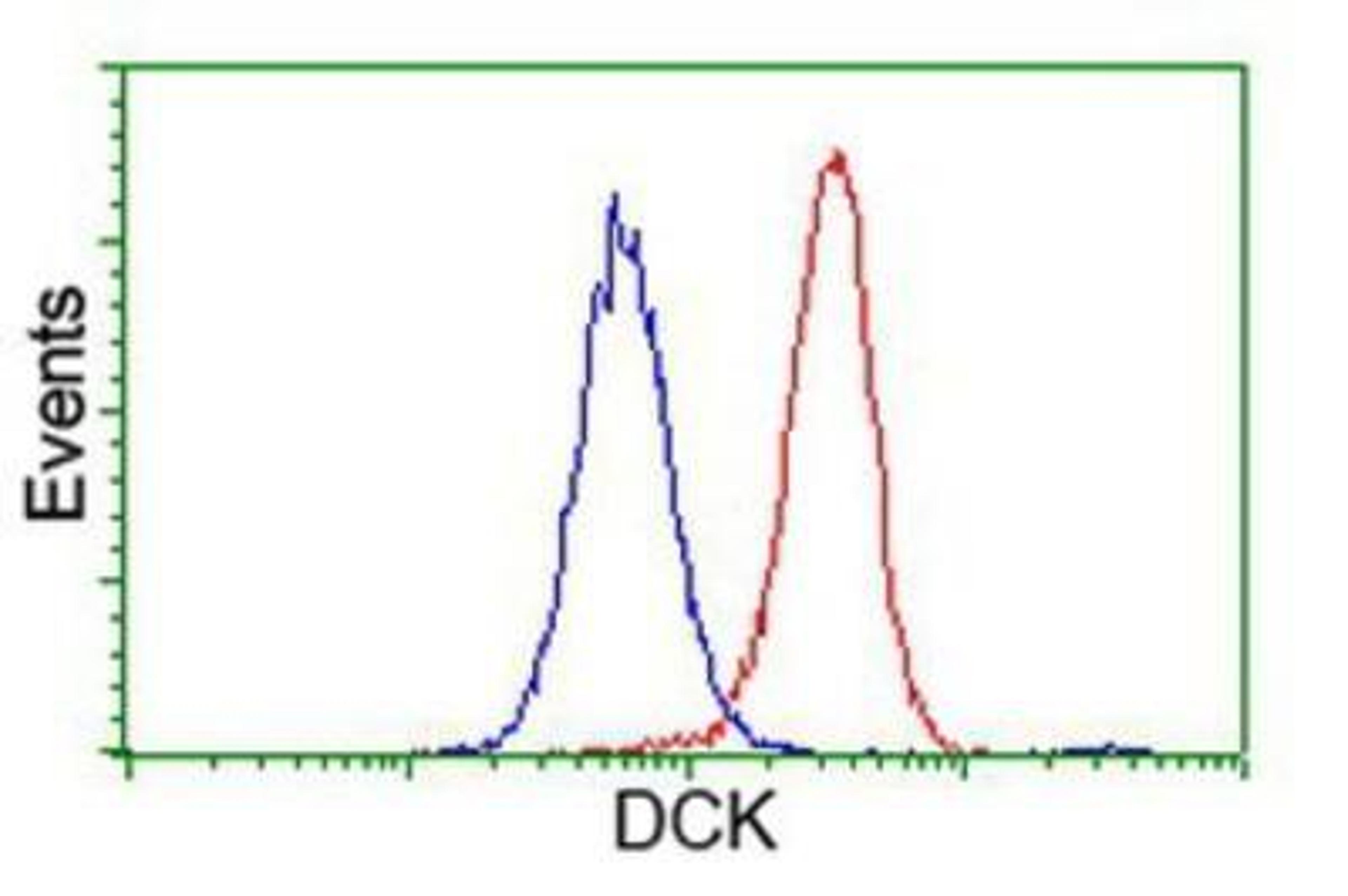 Flow Cytometry: DCK Antibody (3F5) [NBP2-00590] - Analysis of Hela cells, using anti-DCK antibody, (Red), compared to a nonspecific negative control antibody (Blue).