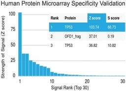 Analysis of HuProt(TM) microarray containing more than 19,000 full-length human proteins using p53 antibody (clone PAb 1801).  Z- and S- score: The Z-score represents the strength of a signal that an antibody (in combination with a fluorescently-tagged an