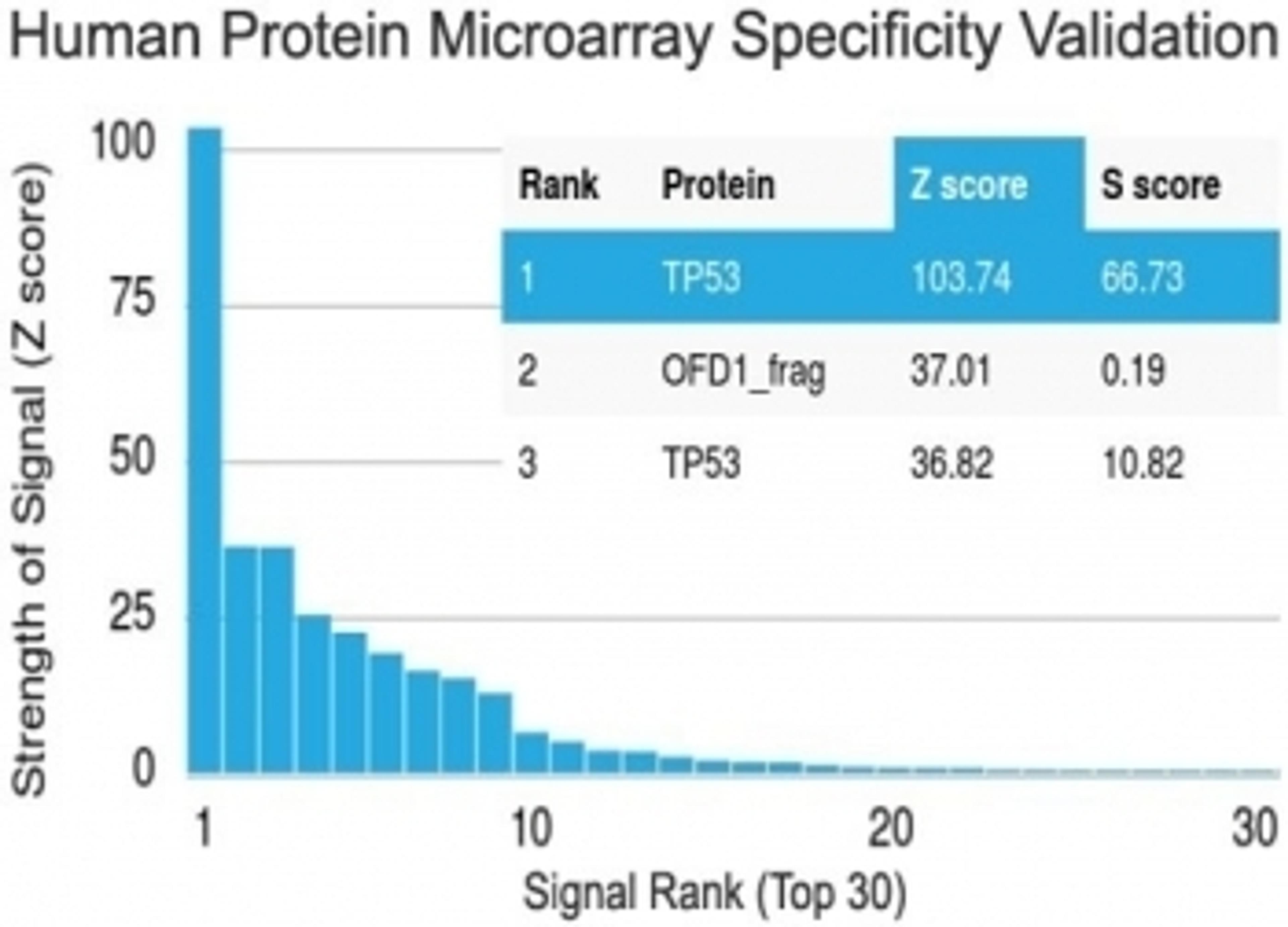 Analysis of HuProt(TM) microarray containing more than 19,000 full-length human proteins using p53 antibody (clone PAb 1801).  Z- and S- score: The Z-score represents the strength of a signal that an antibody (in combination with a fluorescently-tagged an