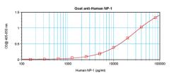 To detect hNP-1 by sandwich ELISA (using 100 ul/well antibody solution) a concentration of 0.5 - 2.0 ug/ml of this antibody is required. This antigen affinity purified antibody, in conjunction with ProSci’s Biotinylated Anti-Human NP-1 (XP-5247Bt) as a de