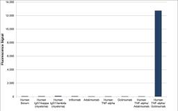 Human anti golimumab (drug/target complex) specificity ELISA