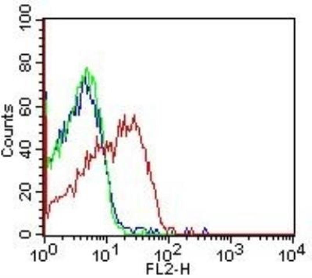 Flow (Cell Surface): HLA DMA Antibody (5C9NB) [NBP2-44300] - Analysis using the Azide Free version of NBP2-44300. Detection of Human PBMC cells (surface) with HLA DMA (5C9NB) antibody (red) or isotype control (mouse IgG1; green). Blue line represents cells alone. Positive staining was observed using PE conjugated mouse anti-IgG(H+L) secondary antibody. Live cells were gated (FL-2) for analysis.