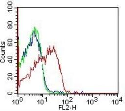 Flow (Cell Surface): HLA DMA Antibody (5C9NB) [NBP2-44300] - Analysis using the Azide Free version of NBP2-44300. Detection of Human PBMC cells (surface) with HLA DMA (5C9NB) antibody (red) or isotype control (mouse IgG1; green). Blue line represents cells alone. Positive staining was observed using PE conjugated mouse anti-IgG(H+L) secondary antibody. Live cells were gated (FL-2) for analysis.