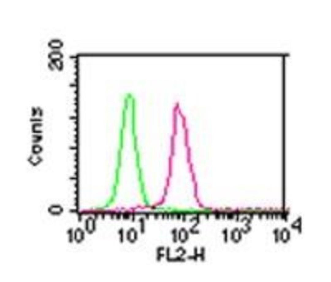 Flow Cytometry: IKK alpha Antibody (14A231) [Azide Free] [NBP2-27409] - Intracellular staining of HEK293 cells using 0.5 ug of IKKa antibody (red) and isotype control (green).  Intracellular flow kit was used for this test, and an anti-mouse IgG1 PE conjugated secondary antibody.