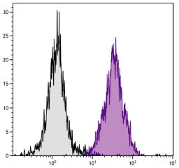 C3H/He mouse splenocytes were stained with Mouse Anti-Mouse H-2Dk-PE (Cat. No. 99-092).