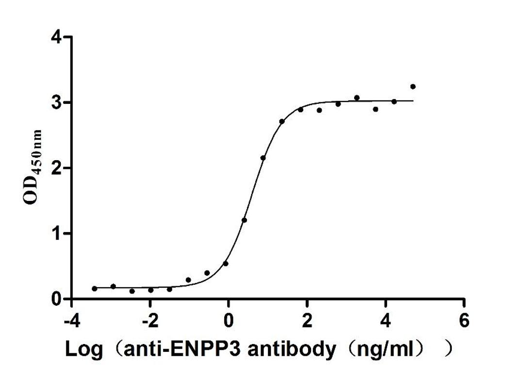 The Binding Activity of Macaca fascicularis ENPP3 with Anti-ENPP3 recombinant antibody. Activity: Measured by its binding ability in a functional ELISA. Immobilized Macaca fascicularis ENPP3 (CSB-MP4278MOV) at 2 μg/mL can bind Anti-ENPP3 recombinant antibody, the EC<sub>50</sub> is 3.313-4.724 ng/mL.