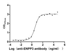 The Binding Activity of Macaca fascicularis ENPP3 with Anti-ENPP3 recombinant antibody. Activity: Measured by its binding ability in a functional ELISA. Immobilized Macaca fascicularis ENPP3 (CSB-MP4278MOV) at 2 μg/mL can bind Anti-ENPP3 recombinant antibody, the EC<sub>50</sub> is 3.313-4.724 ng/mL.