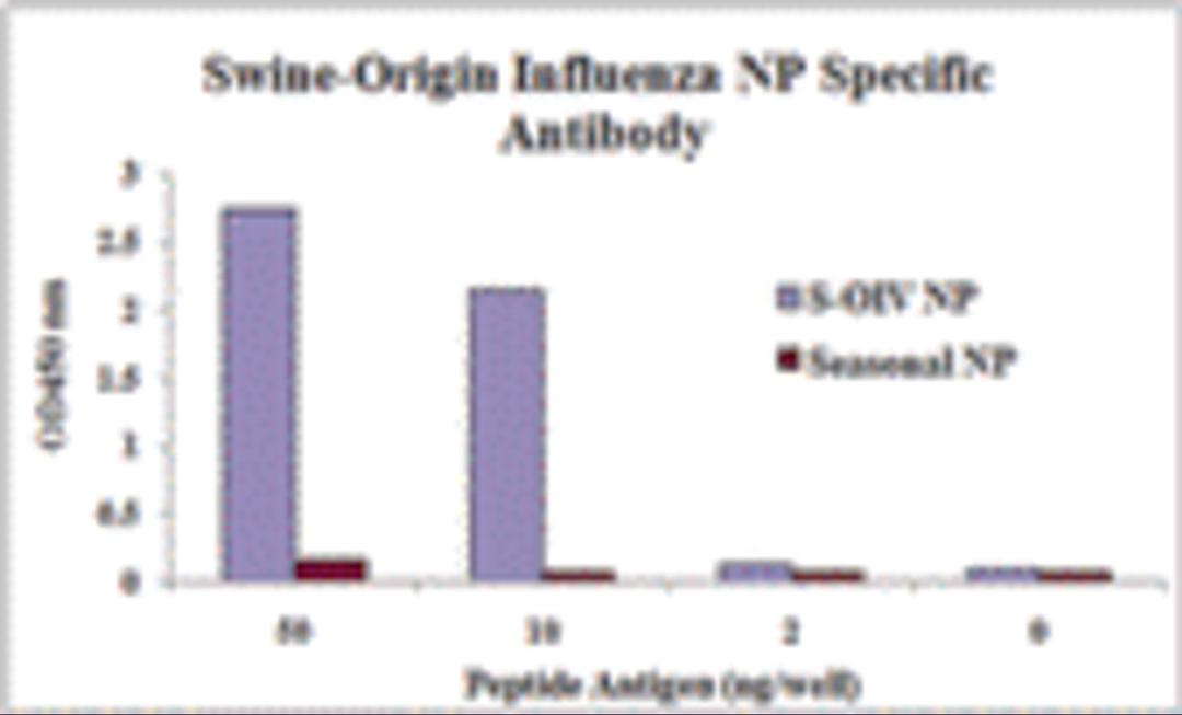 Swine-origin Nucleocapsid Protein antibody specifically recognizes swine-origin influenza virus (S-OIV) A H1N1 but not seasonal influenza virus A H1N1 Nucleocapsid protein.