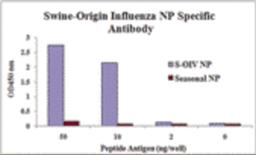 Swine-origin Nucleocapsid Protein antibody specifically recognizes swine-origin influenza virus (S-OIV) A H1N1 but not seasonal influenza virus A H1N1 Nucleocapsid protein.