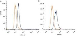 Flow Cytometry: EpCAM/CD326 Antibody (AUA1) [NB600-1182] - Intracellular flow cytometric staining of 1 x 10^6 CHO (A) and HeLa (B) cells using EpCAM/CD326 antibody (dark blue). Isotype control shown in orange. An antibody concentration of 1 ug/1x10^6 cells was used.