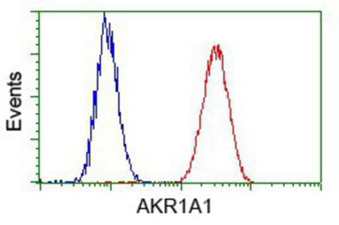 Flow Cytometry: AKR1A1 Antibody (6E3) [NBP2-02164] - Analysis of Hela cells, using anti-AKR1A1 antibody, (Red) compared to a nonspecific negative control antibody (Blue).