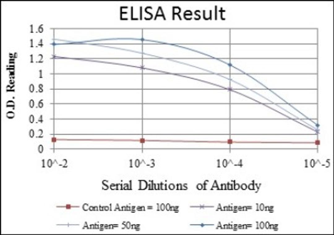 ELISA: Cdk5 Antibody (4E4) [NBP2-37602] - Red: Control Antigen (100ng); Purple: Antigen (10ng); Green: Antigen (50ng); Blue: Antigen (100ng);