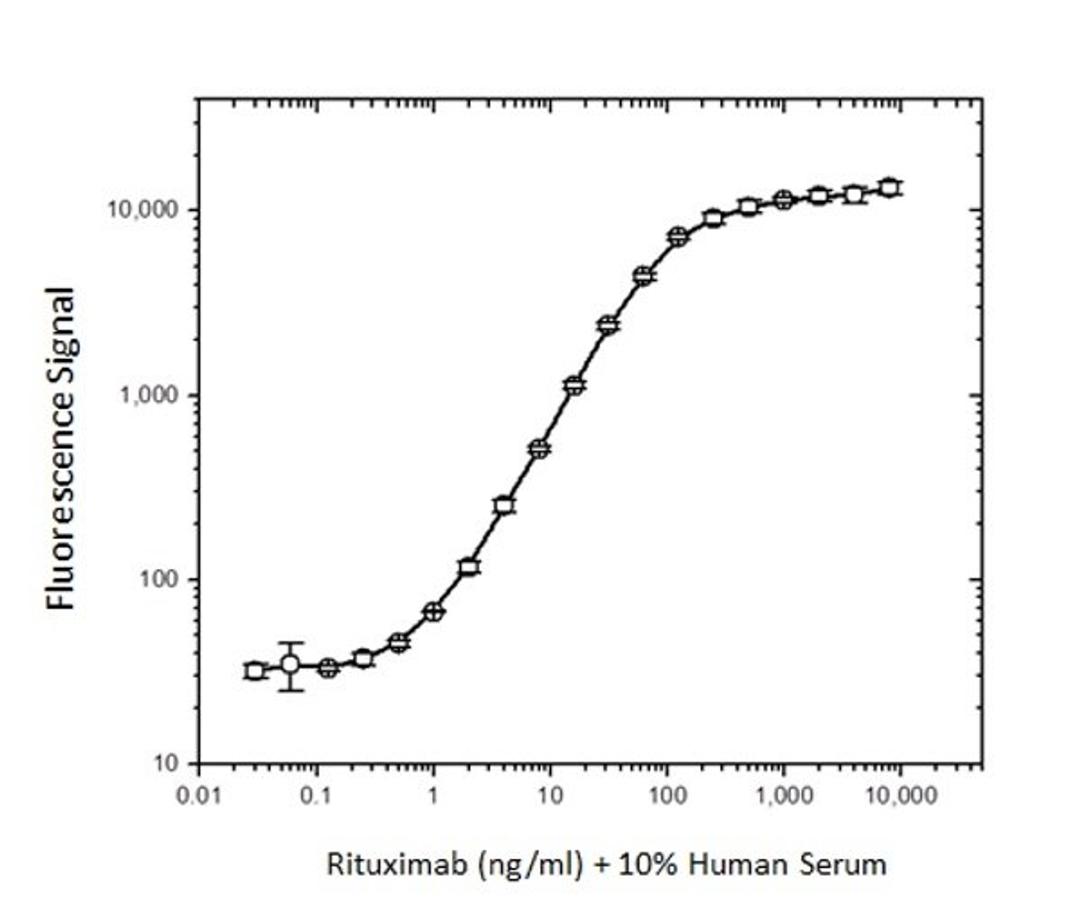 Human Anti-Rituximab Antibody bridging ELISA for Pharmacokinetic (PK) assay development  