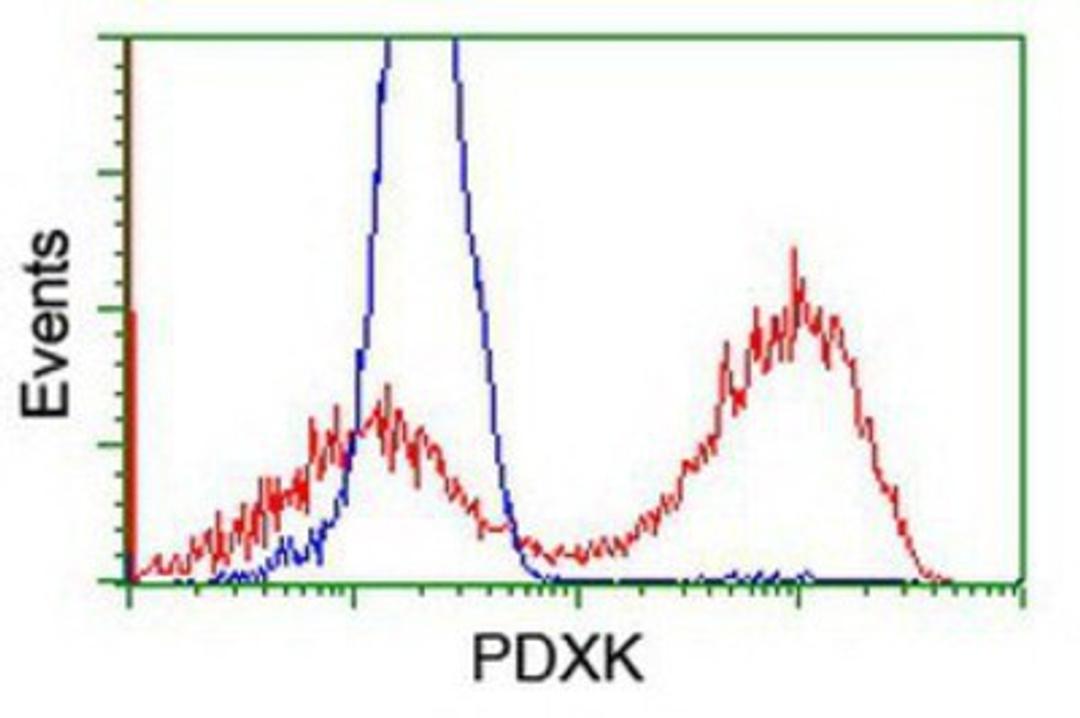 Flow Cytometry: PDXK Antibody (5H5) [NBP2-00821] - HEK293T cells transfected with either overexpression plasmid (Red) or empty vector control plasmid (Blue) were immunostained by anti-PDXK antibody, and then analyzed by flow cytometry.