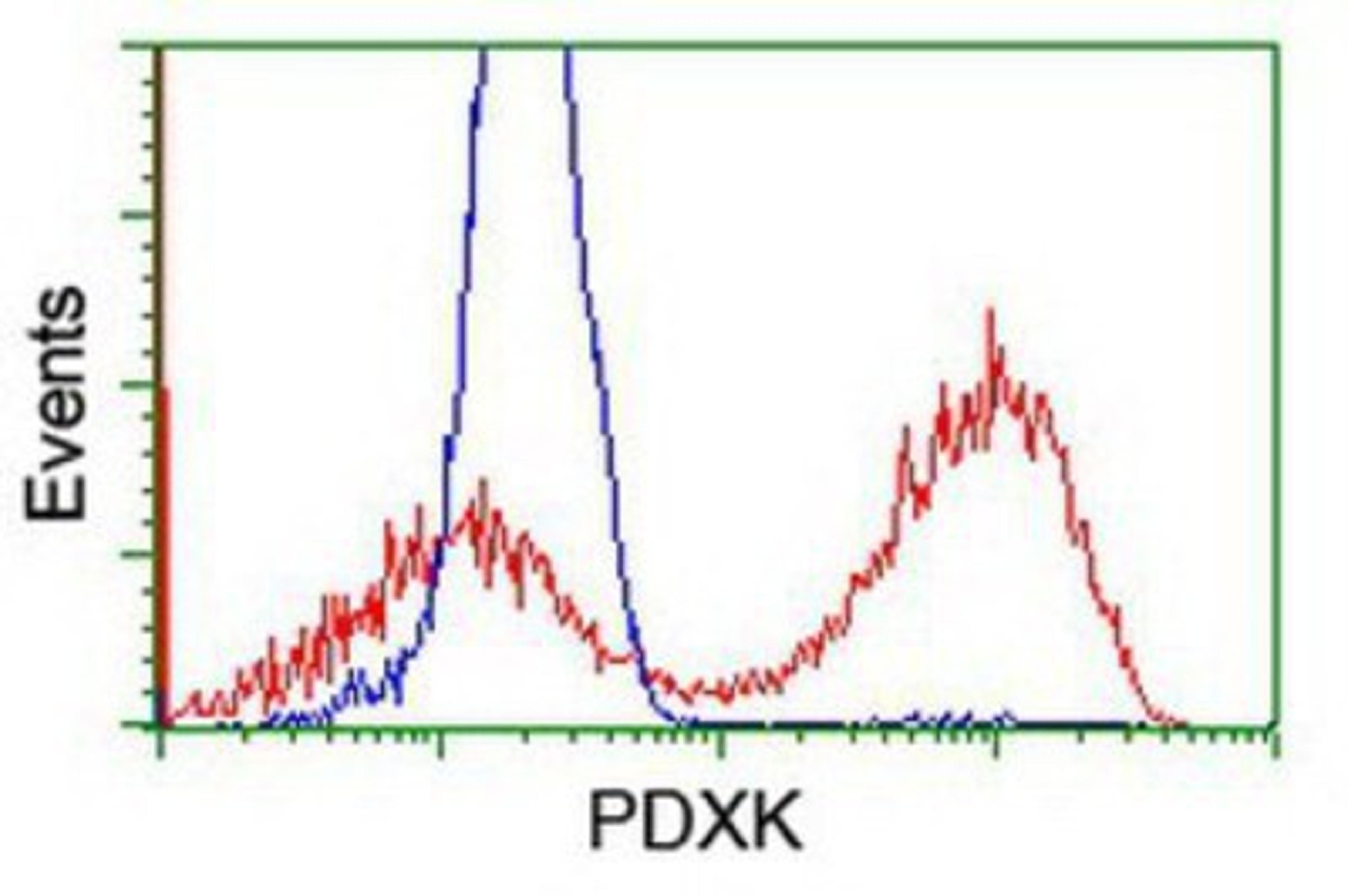 Flow Cytometry: PDXK Antibody (5H5) [NBP2-00821] - HEK293T cells transfected with either overexpression plasmid (Red) or empty vector control plasmid (Blue) were immunostained by anti-PDXK antibody, and then analyzed by flow cytometry.