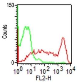 Flow Cytometry: CD45RO Antibody (UCHL-1) [NBP2-29631] - CD45RO expression by lymphocyte gated population of PBMC: PBMC were stained either with purified CD45RO antibody (0.5 ug/10^6 cells) or isotype control following surface staining protocol. PE-conjugated goat anti-mouse IgG, secondary antibody used to identify the positive staining on PPI negative lymphocyte gated population.