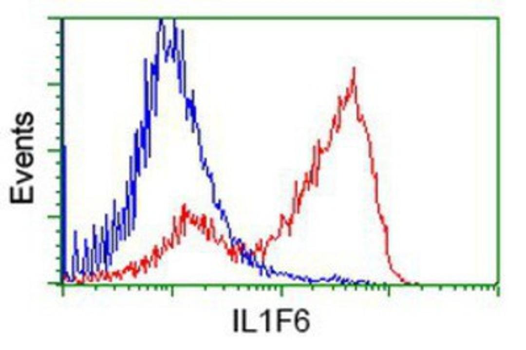 Flow Cytometry: IL1F6 Antibody (1A4) [NBP2-02758] - HEK293T cells transfected with either overexpression plasmid (Red) or empty vector control plasmid (Blue) were immunostained by anti-IL1F6 antibody, and then analyzed by flow cytometry.