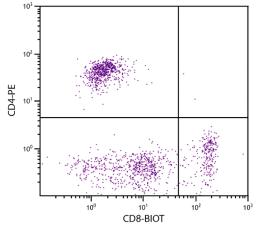 Feline peripheral blood lymphocytes were stained with Mouse Anti-Feline CD8-BIOT (Cat. No. 99-195) and Mouse Anti-Feline CD4-PE followed by Streptavidin-FITC .