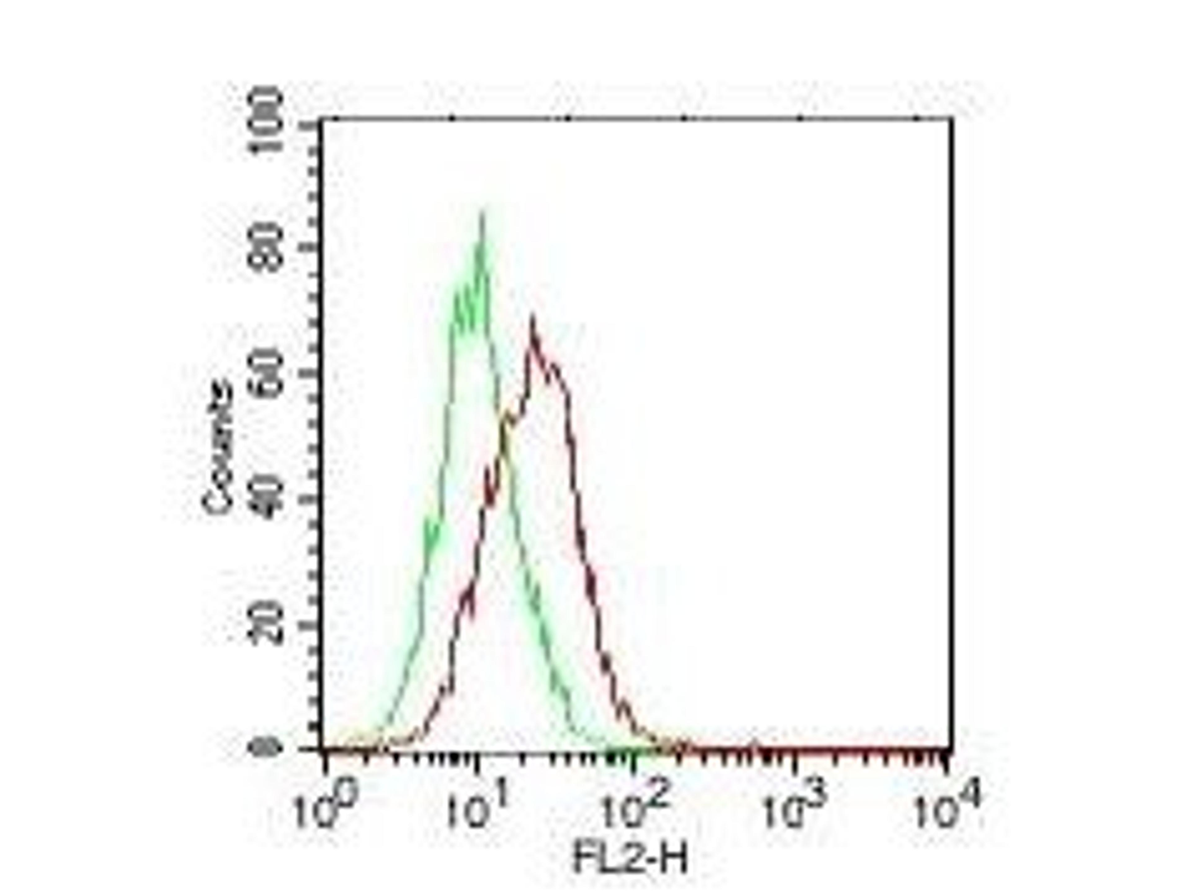 Flow cytometric analysis of PC3 cells using IL-17E antibody (Biotin)