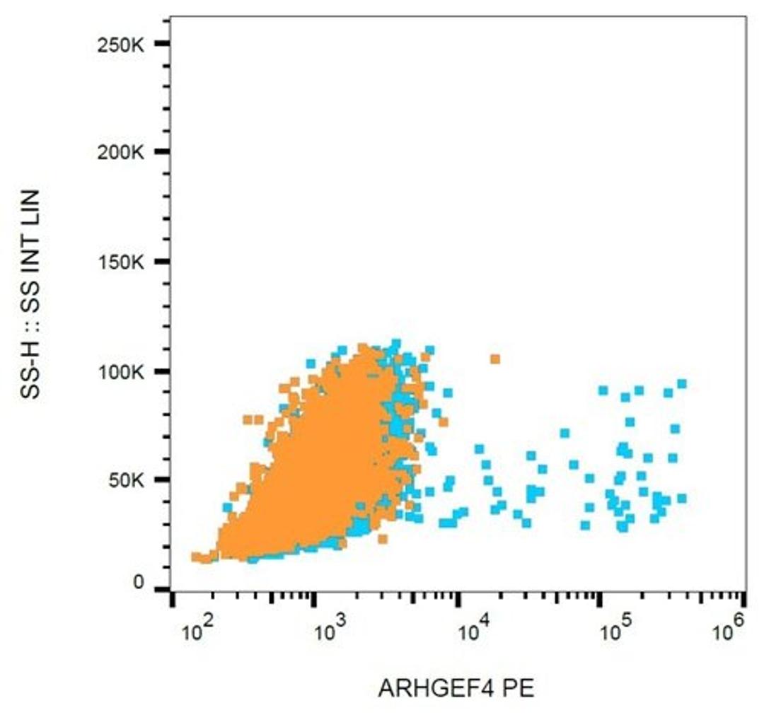 Flow cytometric analysis of HEK-293 cells using ARHGEF4 antibody (PE)