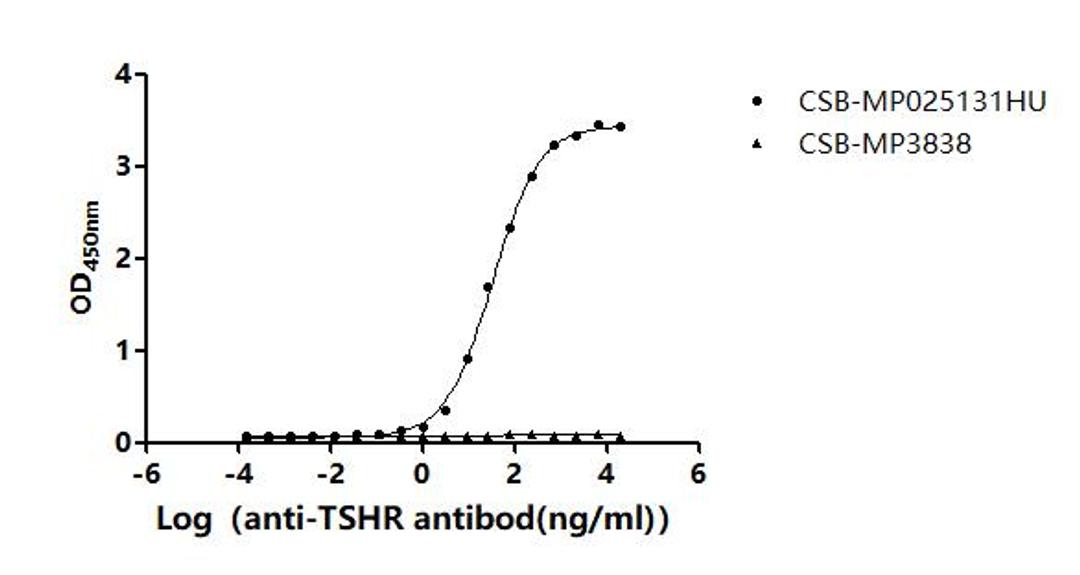 The Binding Activity of Human TSHR with Anti-TSHR Recombinant Antibody. Activity: Measured by its binding ability in a functional ELISA. Immobilized Human TSHR (CSB-MP025131HU) at 10 μg/mL can bind Anti-TSHR recombinant antibody. The EC<sub>50</sub> is 30.81-36.12 ng/mL.The VLPs (CSB-MP3838) is negative control.