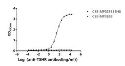 The Binding Activity of Human TSHR with Anti-TSHR Recombinant Antibody. Activity: Measured by its binding ability in a functional ELISA. Immobilized Human TSHR (CSB-MP025131HU) at 10 μg/mL can bind Anti-TSHR recombinant antibody. The EC<sub>50</sub> is 30.81-36.12 ng/mL.The VLPs (CSB-MP3838) is negative control.