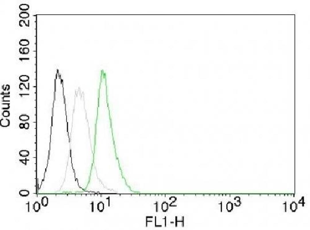 Flow cytometric analysis of Jurkat Cells using CCND1 antibody