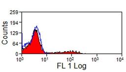 Pig peripheral blood lymphocytes stained with Mouse anti Pig CD11R1