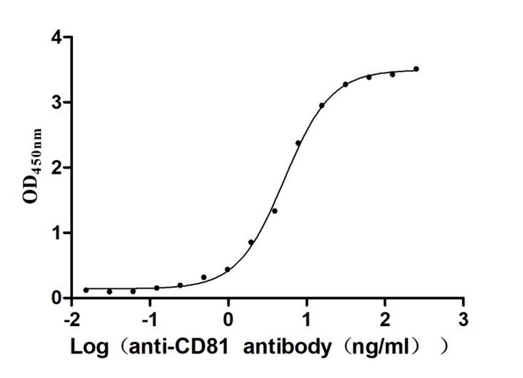 The Binding Activity of Human CD81 with Anti-CD81 recombinant antibody. Activity: Measured by its binding ability in a functional ELISA. Immobilized Human CD81(CSB-MP004960HUd7) at 2 μg/mL can bind Anti-CD81 recombinant antibody. the EC<sub>50</sub> is 4.166-5.578 ng/mL.