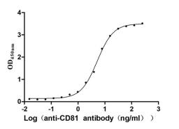 The Binding Activity of Human CD81 with Anti-CD81 recombinant antibody. Activity: Measured by its binding ability in a functional ELISA. Immobilized Human CD81(CSB-MP004960HUd7) at 2 μg/mL can bind Anti-CD81 recombinant antibody. the EC<sub>50</sub> is 4.166-5.578 ng/mL.