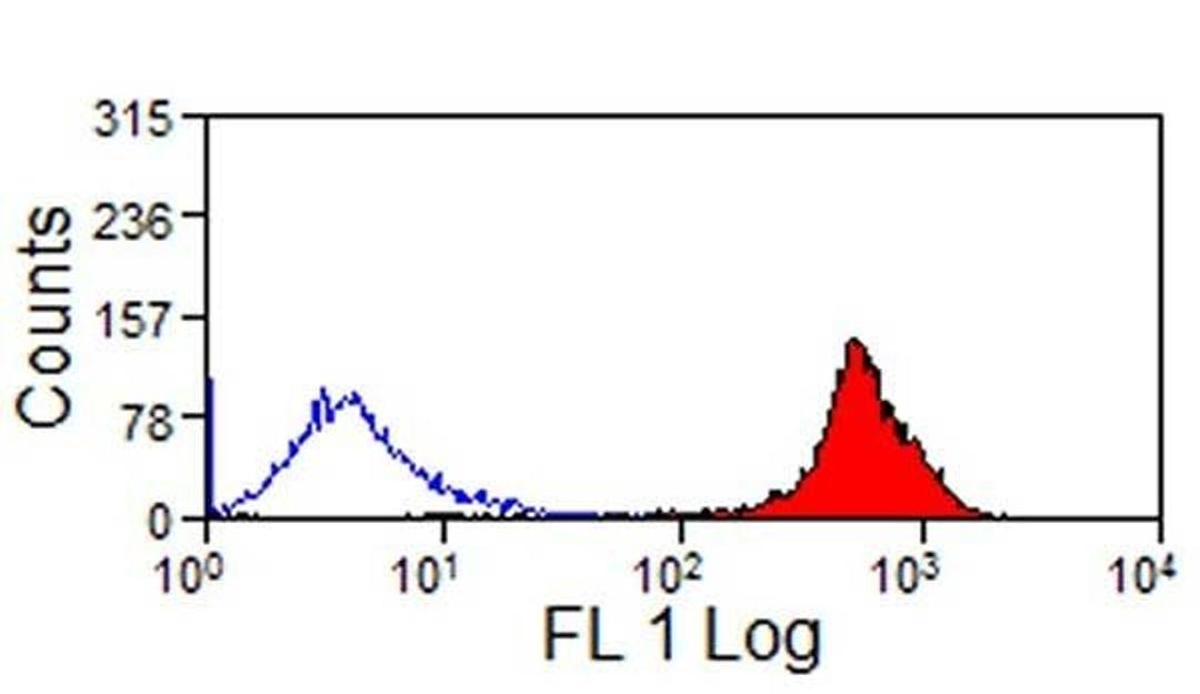 Staining of equine peripheral blood lymphocytes with Mouse anti Equine CD44