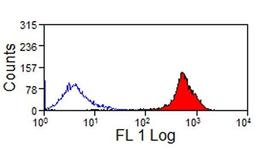Staining of equine peripheral blood lymphocytes with Mouse anti Equine CD44