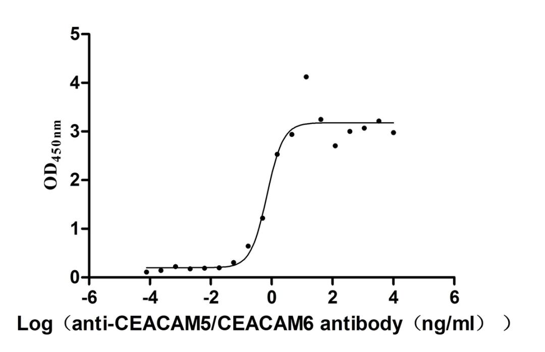 The Binding Activity of Human CEACAM5 with Anti-CEACAM5/CEACAM6 Recombinant Antibody. Activity: Measured by its binding ability in a functional ELISA. Immobilized Human CEACAM5 at 2μg/mL can bind Anti-CEACAM5/CEACAM6 recombinant antibody (CSB-RA005165MA2HU), the EC<sub>50</sub> is 0.4282-1.151 ng/mL.