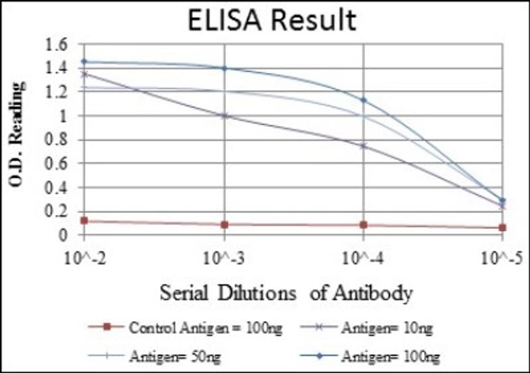 ELISA: Prohibitin Antibody (5H7) [NBP2-37563] - Red: Control Antigen (100ng); Purple: Antigen (10ng); Green: Antigen (50ng); Blue: Antigen (100ng);