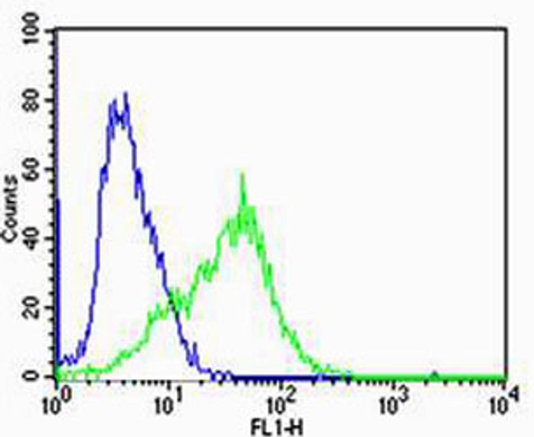 Flow cytometric analysis of Jurkat cells using CHRNA9 Antibody (N-term)(green) compared to an isotype control of rabbit IgG(blue). Antibody was diluted at 1:25 dilution. An Alexa Fluor 488 goat anti-rabbit lgG at 1:400 dilution was used as the secondary a