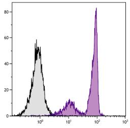 BALB/c mouse bone marrow cells were stained with Rat Anti-Mouse CD44-UNLB (Cat. No. 98-537) followed by Mouse Anti-Rat IgG1-FITC .