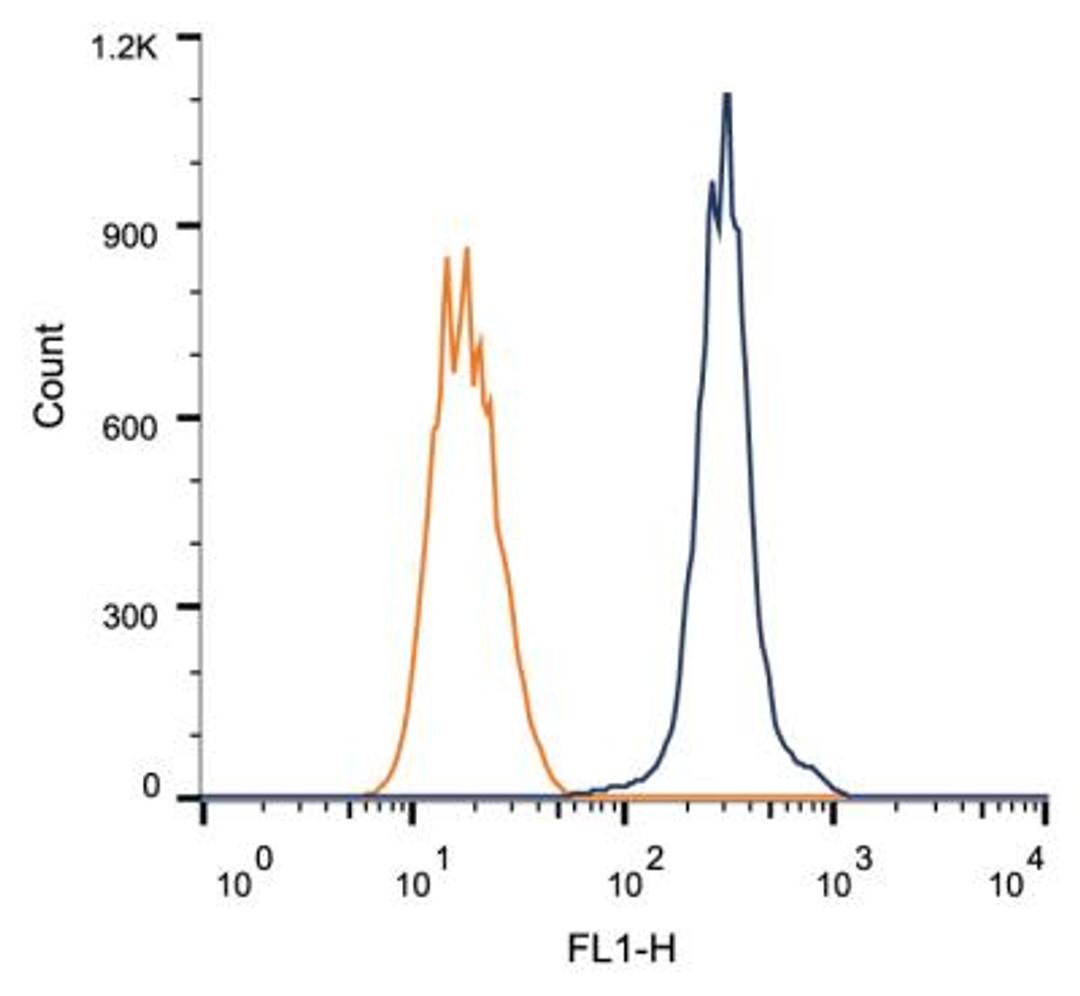 Flow Cytometry: Rad51C Antibody (2H11/6) [NB100-177] - Intracellular flow cytometric staining of 1 x 10^6 HeLa cells using Rad51C antibody (dark blue). Isotype control shown in orange. An antibody concentration of 1 ug/1x10^6 cells was used.