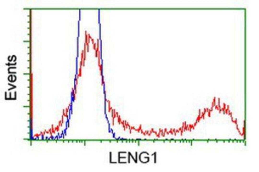 Flow Cytometry: LENG1 Antibody (10A7) [NBP2-00915] - HEK293T cells transfected with either overexpression plasmid (Red) or empty vector control plasmid (Blue) were immunostained by anti-LENG1 antibody, and then analyzed by flow cytometry.